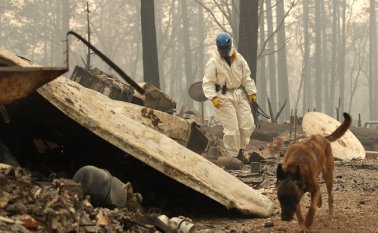 La mayoría de los desaparecidos reside en la población de Paradise, de 26.000 habitantes y que fue completamente engullida por las llamas. AFP