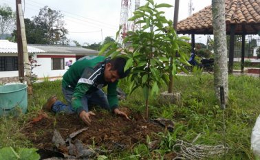 Javier Sarabia / La Opinión 