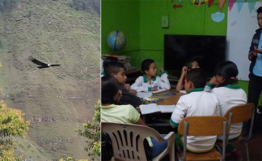 Niños de la vereda Tencalá, en Pamplona, se convirtieron desde esta semana en guardianes de los cóndores que sobrevuelan el cielo de esa región. Roberto Ospino