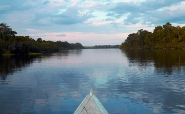 El país se encuentra entre los diez países que experimentaron niveles más dramáticos de deforestación. Archivo Colprensa