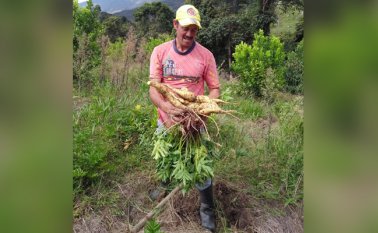 Roberto Ospino / La Opinión