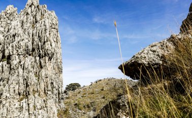 Un dato que no sorprende, dada el aumento de la cantidad de dióxido de carbono, metano y otros gases de efecto invernadero emitidos el año pasado en la atmósfera. AFP