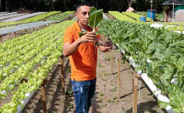 Mario Franco / La Opinión 