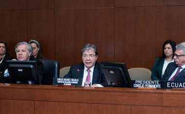 Así lo reveló el canciller colombiano, Carlos Holmes Trujillo. OEA / Twitter