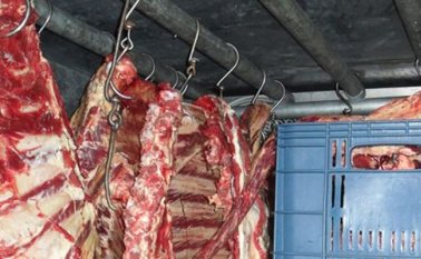 La medida busca "prohibir el desvío de los productos y contrarrestar el contrabando de extracción de la carne". Archivo