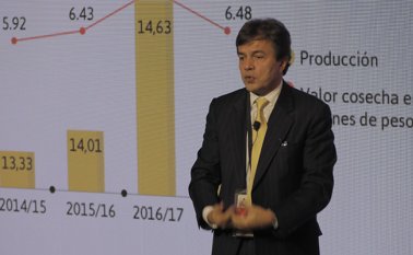 Comparado a los 14,6 millones del año cafetero anterior. Cortesía