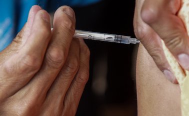 Los virus de la influenza son patógenos que año con año causan aproximadamente 600.000 muertes en todo el mundo, según datos la OMS. Archivo