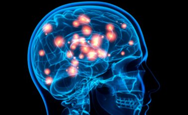 La autora principal del estudio consideró que este descubrimiento proporciona “el punto de partida” para descifrar cómo se procesa y modula la picazón en el cerebro. Internet