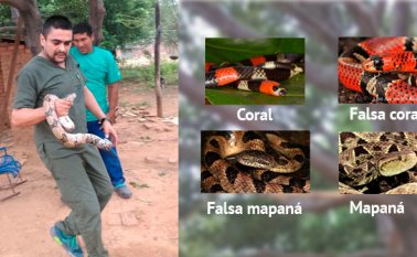 Giancarlo Bastos, médico veterinario y presidente de la Fundación Catatumbo. Cortesía
