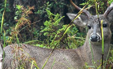 Este páramo está en jurisdicción de los departamentos de Cundinamarca y Meta. Colparques