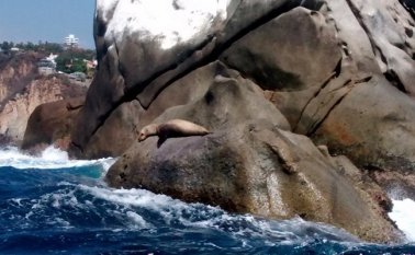 Tomada de Twitter @IslaDeLaRoqueta