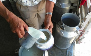 Boyacá, Arauca, Norte de Santander, Chocó, La Guajira, Cesar y Nariño recibieron un total de 123.977 kilogramos de carne y 752.364 litros de leche, 70.722 familias fueron beneficiadas por el programa.
 Archivo