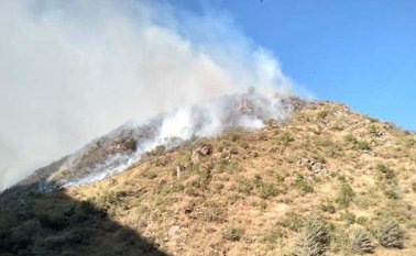 Pese a la presencia de los bomberos de Pamplona, la situación fue difícil de controlar a tiempo.
Roberto Ospino / La Opinión