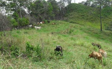 La temporada de lluvias del último trimestre de 2018 en los corregimientos Banco de Arena y Palmarito, impidió el cumplimiento del cronograma. Archivo
