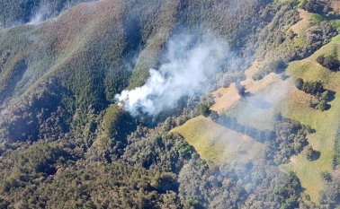 En Cundinamarca, 237 hectáreas han sido consumidas por incendios forestales, según reporte de las autoridades. Colprensa
