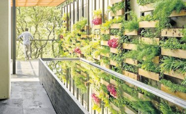 Las estructuras de madera le dan un toque country a las huertas. Internet