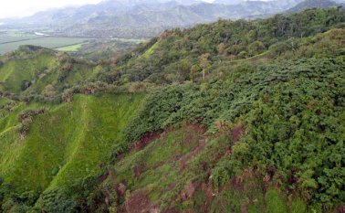 Según la contraloría, es necesario que el Gobierno y el Congreso estudien la posibilidad de asegurar que los recursos de los impuestos ambientales sean direccionados al sector de los recursos naturales. Colprensa