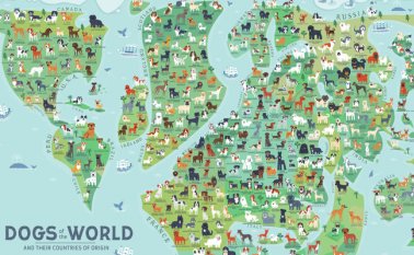 El mapa fue elaborado por la diseñadora gráfica Lili Chin. Ecoosfera.com