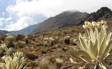 Será la tercera vez que los integrantes de la mesa visitarán la zona. La Opinión