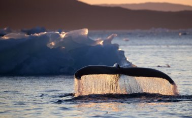 Los nuevos análisis demuestran que el calentamiento de los océanos va en consonancia con las medidas que apuntan a un incremento en la temperatura del aire. Archivo