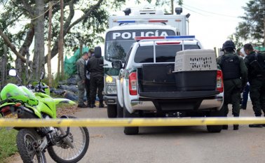 Los cuatro cadáveres fueron arrojados desde una camioneta. Colprensa