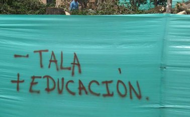 El 33.45% del territorio de Bochalema tiene diversos tipos de bosques estratégicos. Archivo