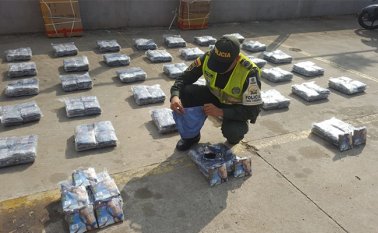 Continúan los planes de registro y control para mitigar este flagelo. Cortesía