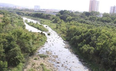 Situación que se comprueba con la erosión de márgenes y depósitos localizados en el lecho del río. Archivo / La Opinión