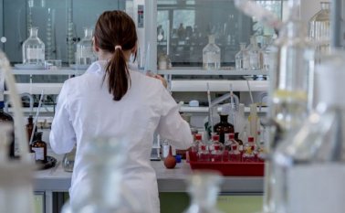 Midieron la distribución de grasa en los cuerpos de casi 360.000 participantes voluntarios.
Internet