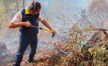 El fuego consumió más de 15 hectáreas de vegetación, especialmente pastos en Toledo. Los campesinos están en alerta y han reportado pérdidas, pues en 2018 se vieron afectados por lluvias y en los primeros 20 días de este año la constante son los incendios. La Opinión