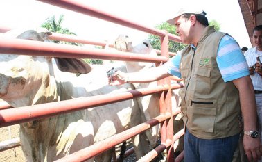 Para el ciclo de revacunación contra la fiebre aftosa en el país. Archivo / La Opinión
