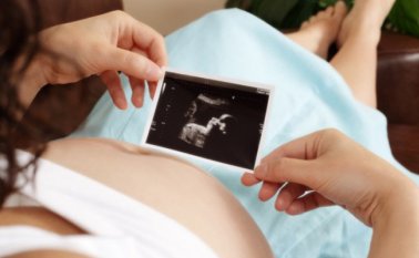 Los nacimientos para 2018 fueron 900.
Internet