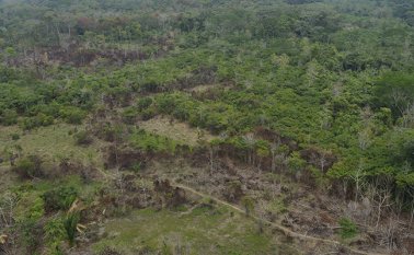 El parque sigue afrontado desafíos como la tala y quema del bosque. Archivo