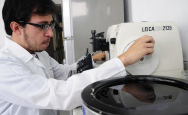 La ley consigna que el funcionamiento del ministerio se deberá dar en un plazo no mayor a un año, a partir de su sanción. Archivo