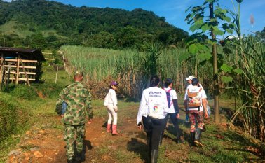 El año pasado, según cifras de la Oficina de Naciones Unidas para la Coordinación de Asuntos Humanitarios (OCHA), citadas en la información, se reportaron 145.000 casos de desplazamiento forzado. Colprensa