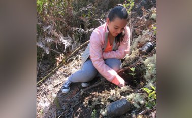 Plantaron 500 árboles en la parte alta del sector El Zulia.
Roberto Ospino / La Opinión