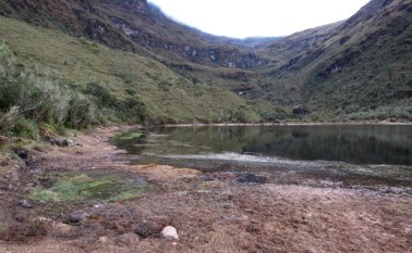 Archivo - Roberto Ospino / La Opinión