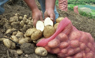 La situación afecta a 560 productores y a sus familias. Archivo