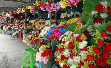 Mario Caicedo / La Opinión