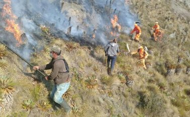 Las llamas invadieron el ecosistema del páramo del Almorzadero, en Santander, desde el 3 de febrero. Vanguardia Liberal