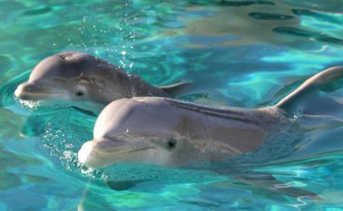 Colprensa / Referencial