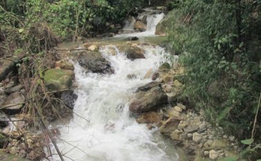 El predio adquirido tiene 48 hectáreas y está ubicado en Bochalema. Cortesía