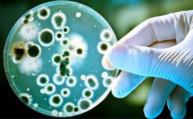 Según un amplio estudio publicado esta semana. Internet