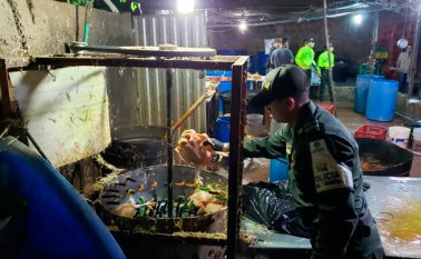 Los animales eran sometidos a un proceso de pigmentación y de inyección de agua. La Opinión