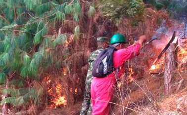El comienzo de año ha estado marcado en la Provincia de Pamplona por incendios en zonas boscosas, especialmente en donde hay colchones naturales de pino. Cortesía