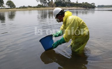 Mario Franco / La Opinión