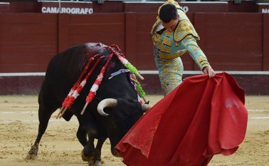 Segunda corrida de abono en Bogotá Colprensa