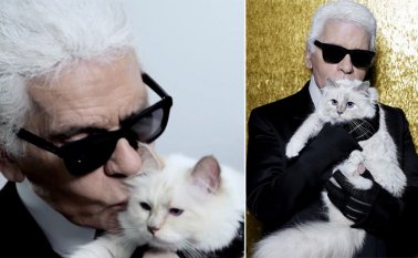 La gata del fallecido diseñador de moda tiene 122.000 seguidores en Instagram. Tomada de Instagram