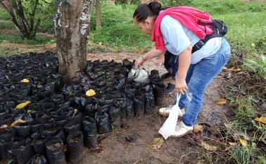 Se han sumado algunas pequeñas empresas. Cortesía