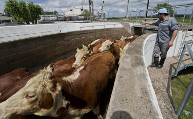 Archivo / La Opinión 